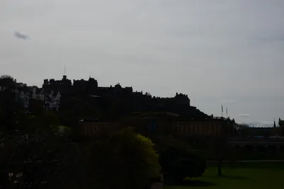 DSC_7394 (Large).JPG